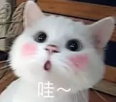 杂工全能