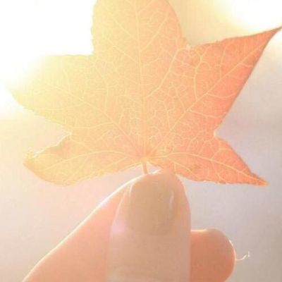 水电安装维修