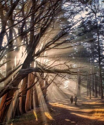 美缝环氧打胶打美容胶