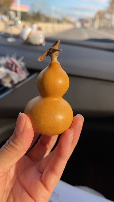 驾培