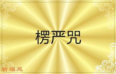 服装定制量尺服装量尺维修