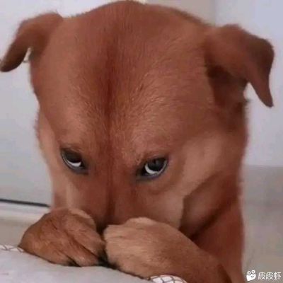 灯具卫浴家电安装