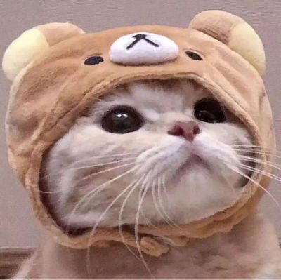 维修