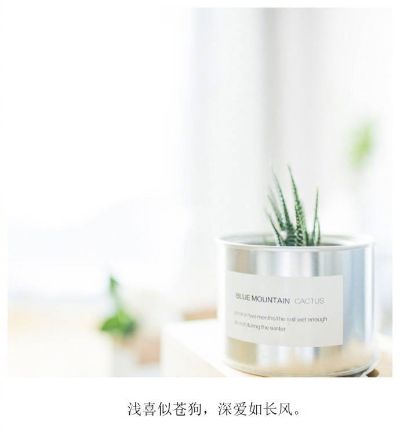 水电改造卫浴灯具安装