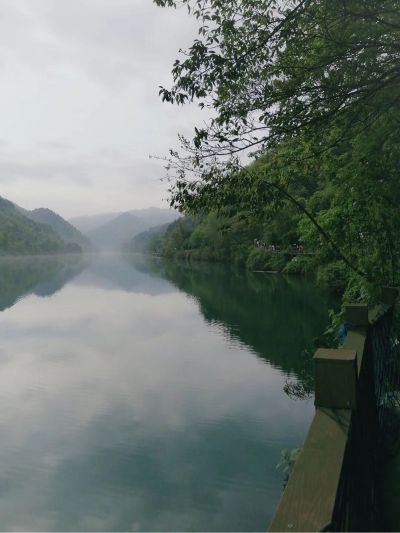 灯具卫浴电路