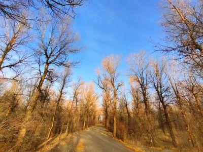 电脑家电维修打印机复印机空调洗衣机监控安装维修