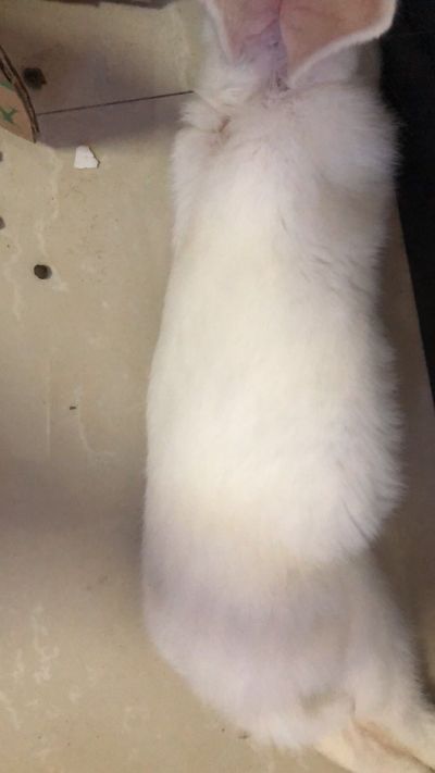安装焊工