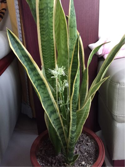 电工水暖