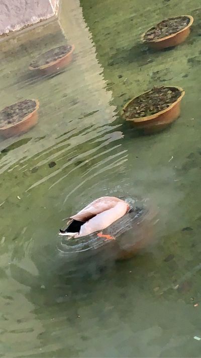 在他