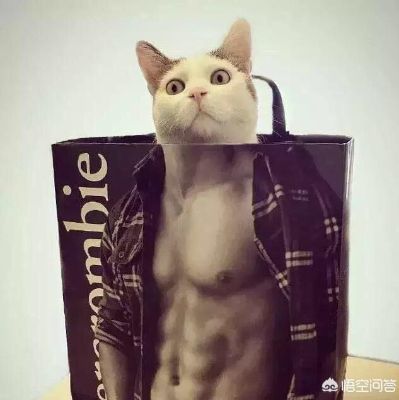 家具安装