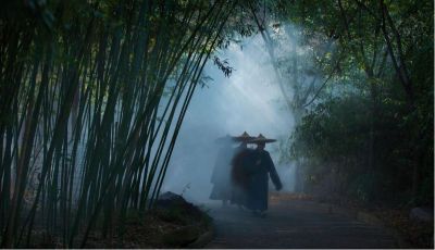所有