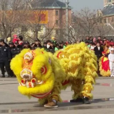 电脑广告家居