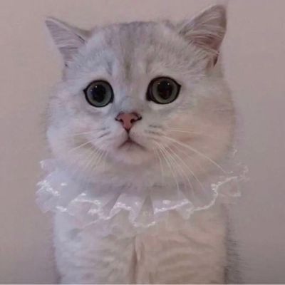 无