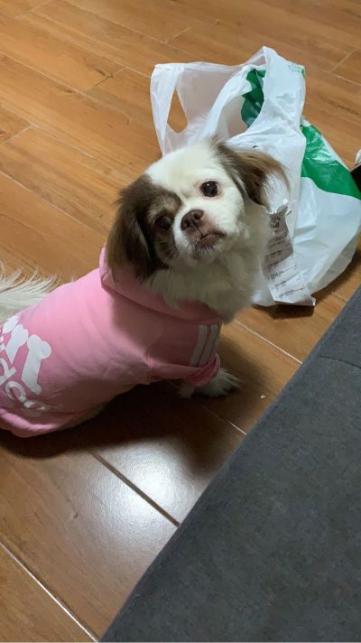 无