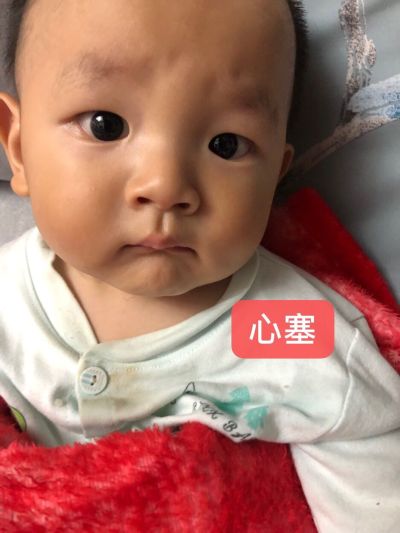 木工不锈钢