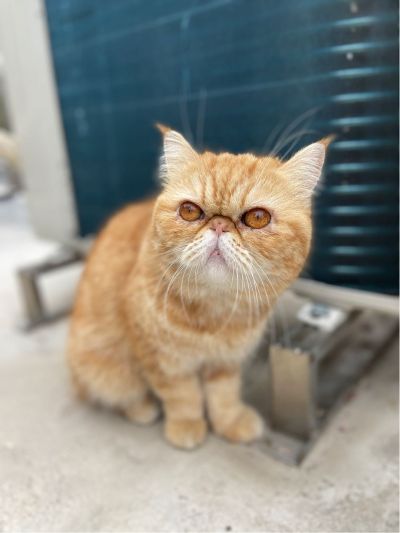 文员