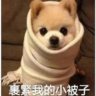 安装