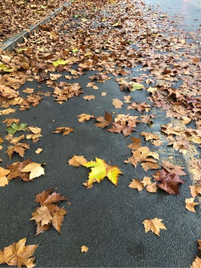 木工地板安装瓷砖墙砖安装