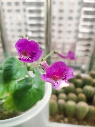 水电工