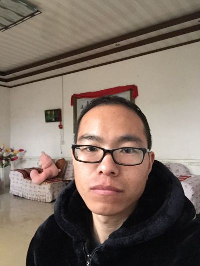 专业害虫防治灭蟑螂灭老鼠