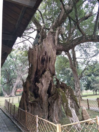 水电维修安装