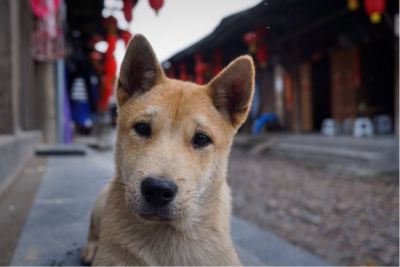各类家居维修