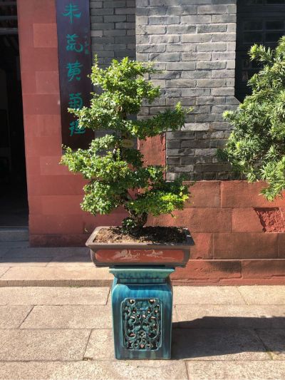 园林绿化