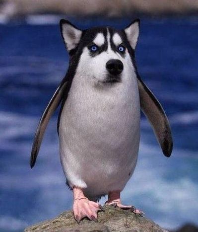 灯具卫浴窗帘灯具卫浴窗帘