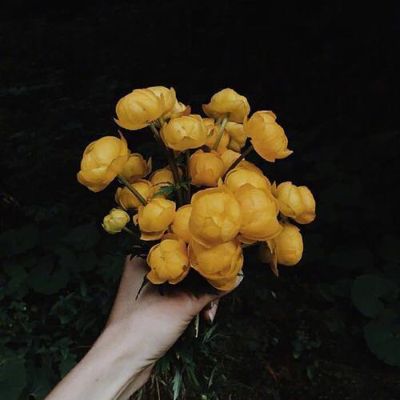 文案财务