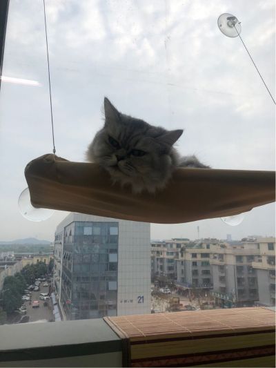 临时工