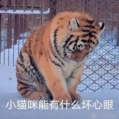 家居