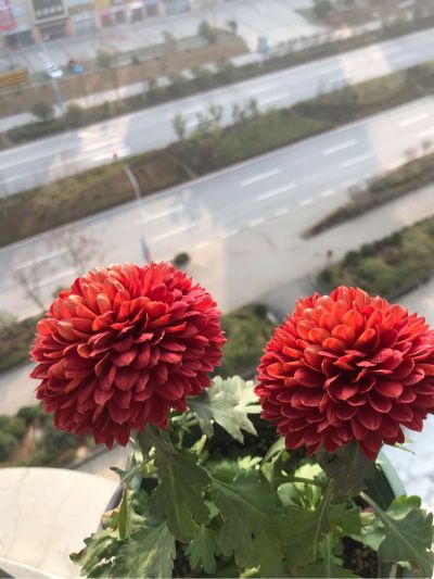 无
