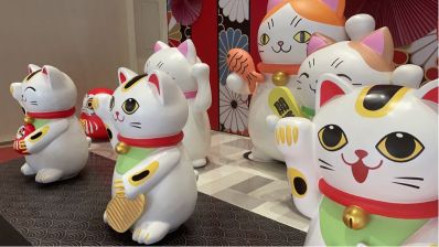 搬家安装