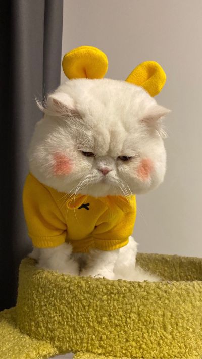 水电安装