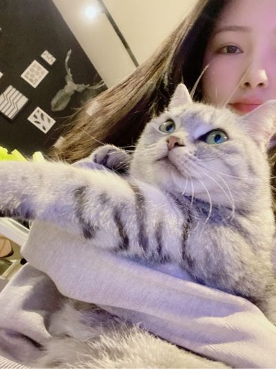 设计