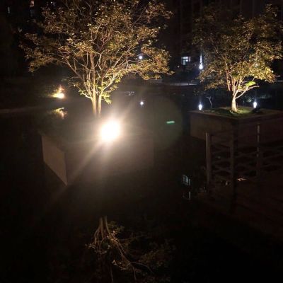 地板