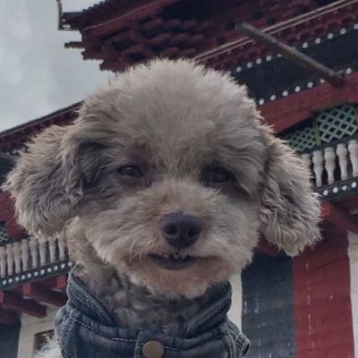 旅游