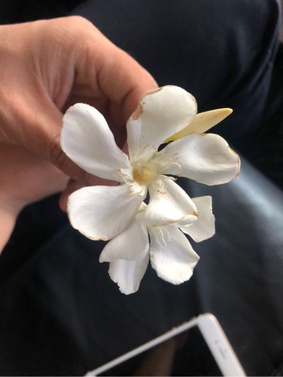 没有