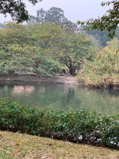 装修家政保洁钟点