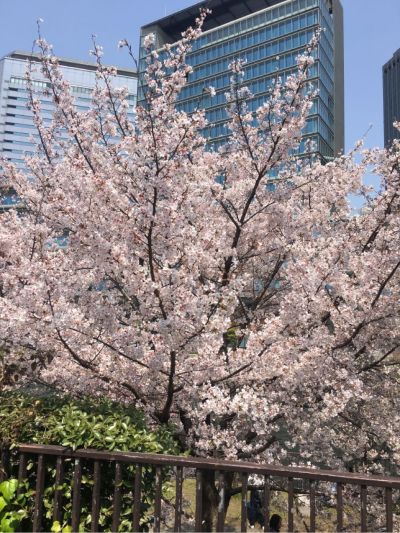 水暖家电厨卫水电厨卫家电水电厨卫家电