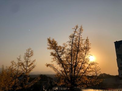 师傅