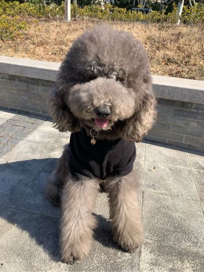 无