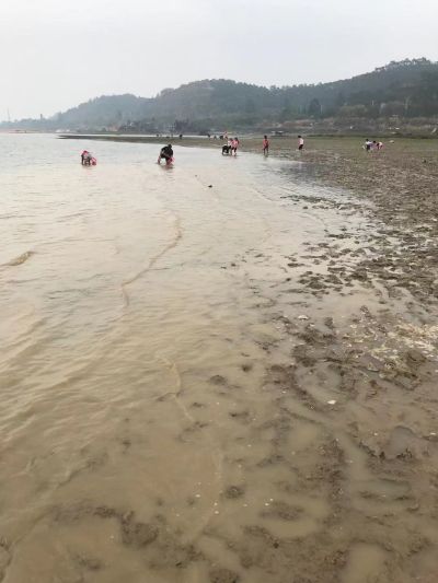 我过年不回家，有老板需要人做工的找我，17303024939