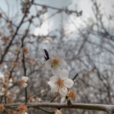 无