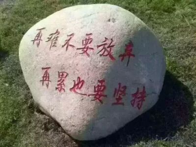 防水漏水维修无