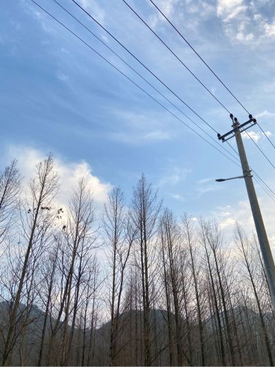 晾衣杆