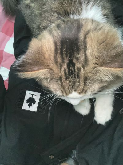 打印机维修维修打印机
