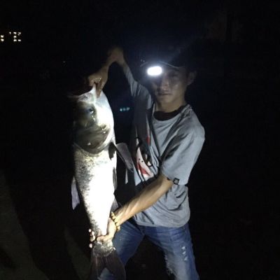 墙布窗帘墙布施工窗帘