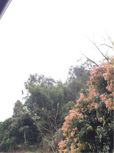 维修