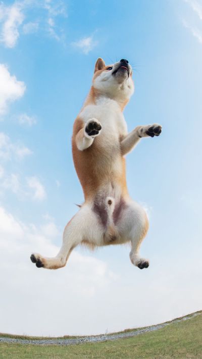 维修